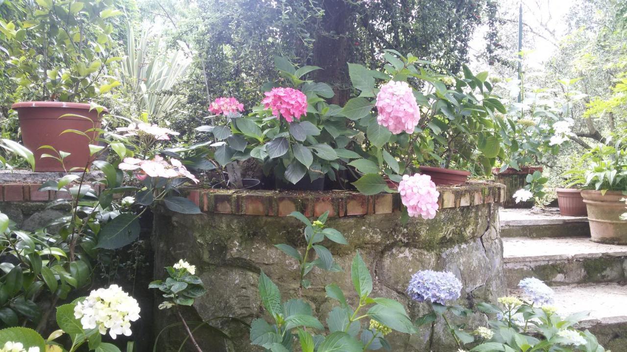 Il Giardino Delle Ortensie Apartment Salto Chiesa Exterior foto